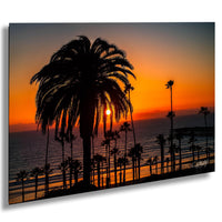 A silhouetted palm tree stands tall against a vibrant orange and yellow sunset over the ocean, with the sun setting behind the horizon.