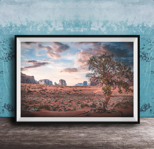 The image is a framed photograph depicting a desert landscape with a large tree in the foreground and mountains in the background under a cloudy sky.