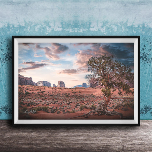 The image is a framed photograph depicting a desert landscape with a large tree in the foreground and mountains in the background under a cloudy sky.