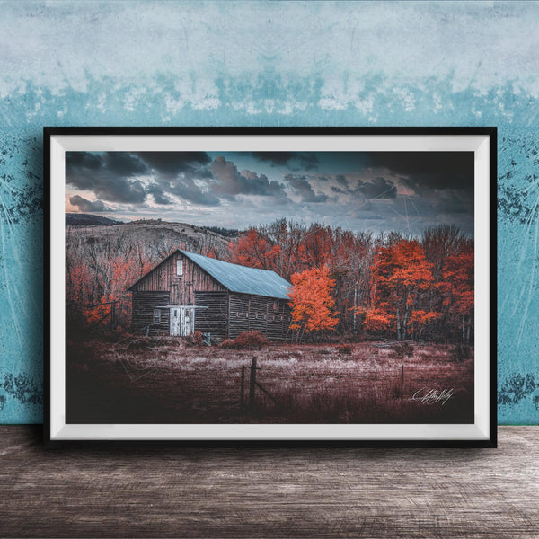 A rustic wooden barn stands in a field, surrounded by trees with vibrant orange leaves against a cloudy sky.