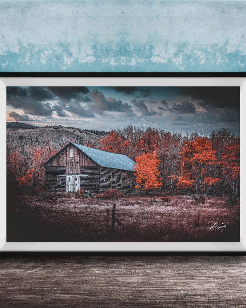 A rustic wooden barn stands in a field, surrounded by trees with vibrant orange leaves against a cloudy sky.