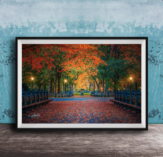 A framed photograph depicting a serene park scene with a path lined with trees displaying vibrant autumn foliage, creating a colorful canopy overhead.