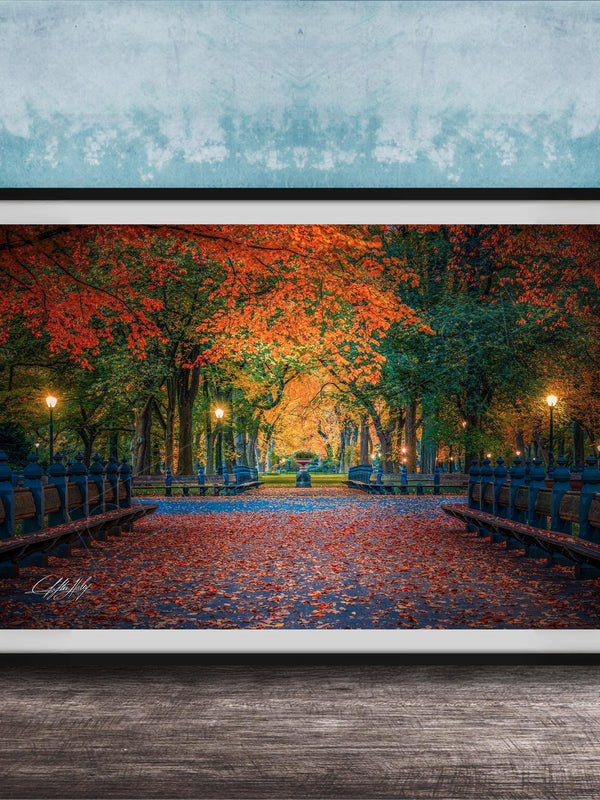 A framed photograph depicting a serene park scene with a path lined with trees displaying vibrant autumn foliage, creating a colorful canopy overhead.