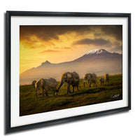 A group of elephants grazing in a grassy field with a majestic mountain range in the background, under a dramatic orange and yellow sky.