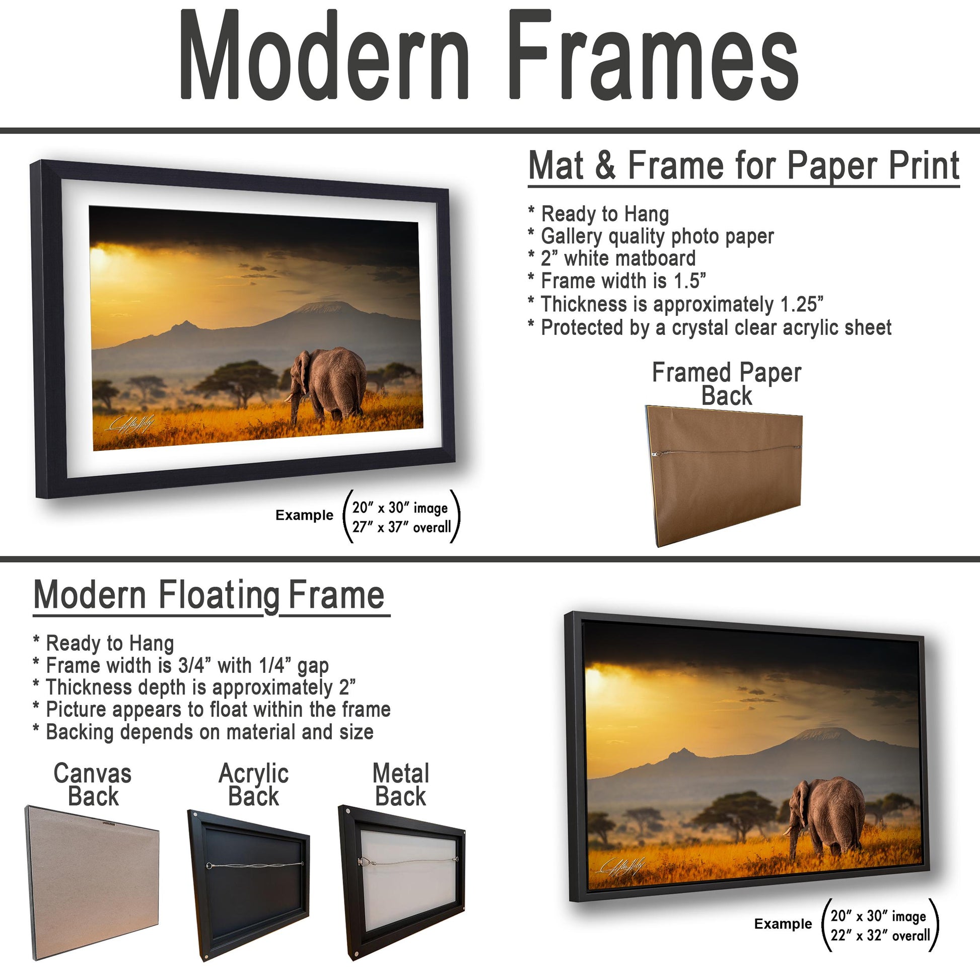 a picture of a picture of a rhino in a frame