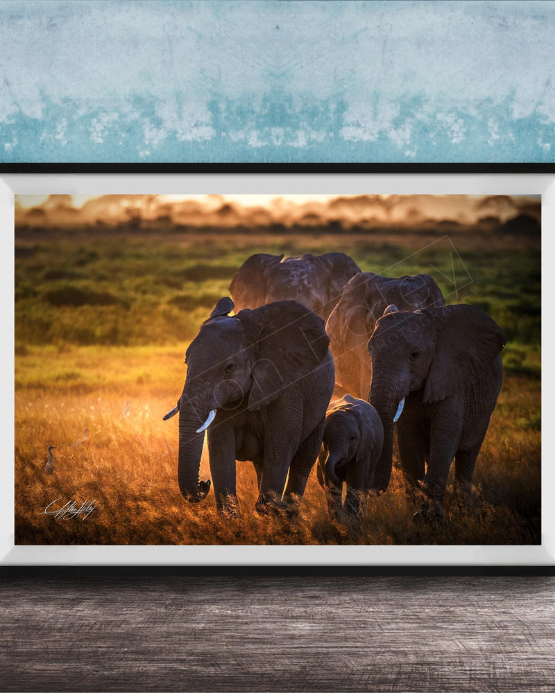 A group of elephants standing in a grassy field, with the sun setting in the background.