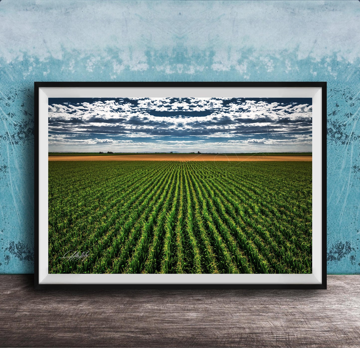 A framed photograph of a vast, lush green field with rows of crops stretching out into the distance, set against a cloudy sky.