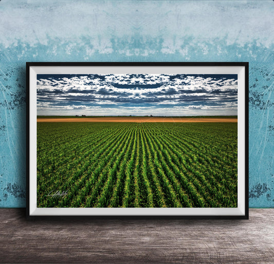 A framed photograph of a vast, lush green field with rows of crops stretching out into the distance, set against a cloudy sky.