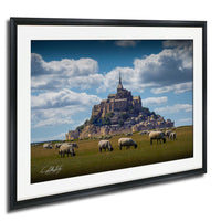 A framed photograph depicting a pastoral scene with a large castle or fortification in the background, surrounded by a grassy field where a herd of sheep are grazing.