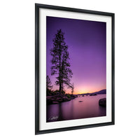 a serene landscape with a tall tree silhouetted against a vibrant purple and orange sky, overlooking a calm body of water.
