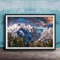 A framed photograph of a snow-capped mountain range with a cloudy sky, surrounded by pine trees and a lone bird in flight.