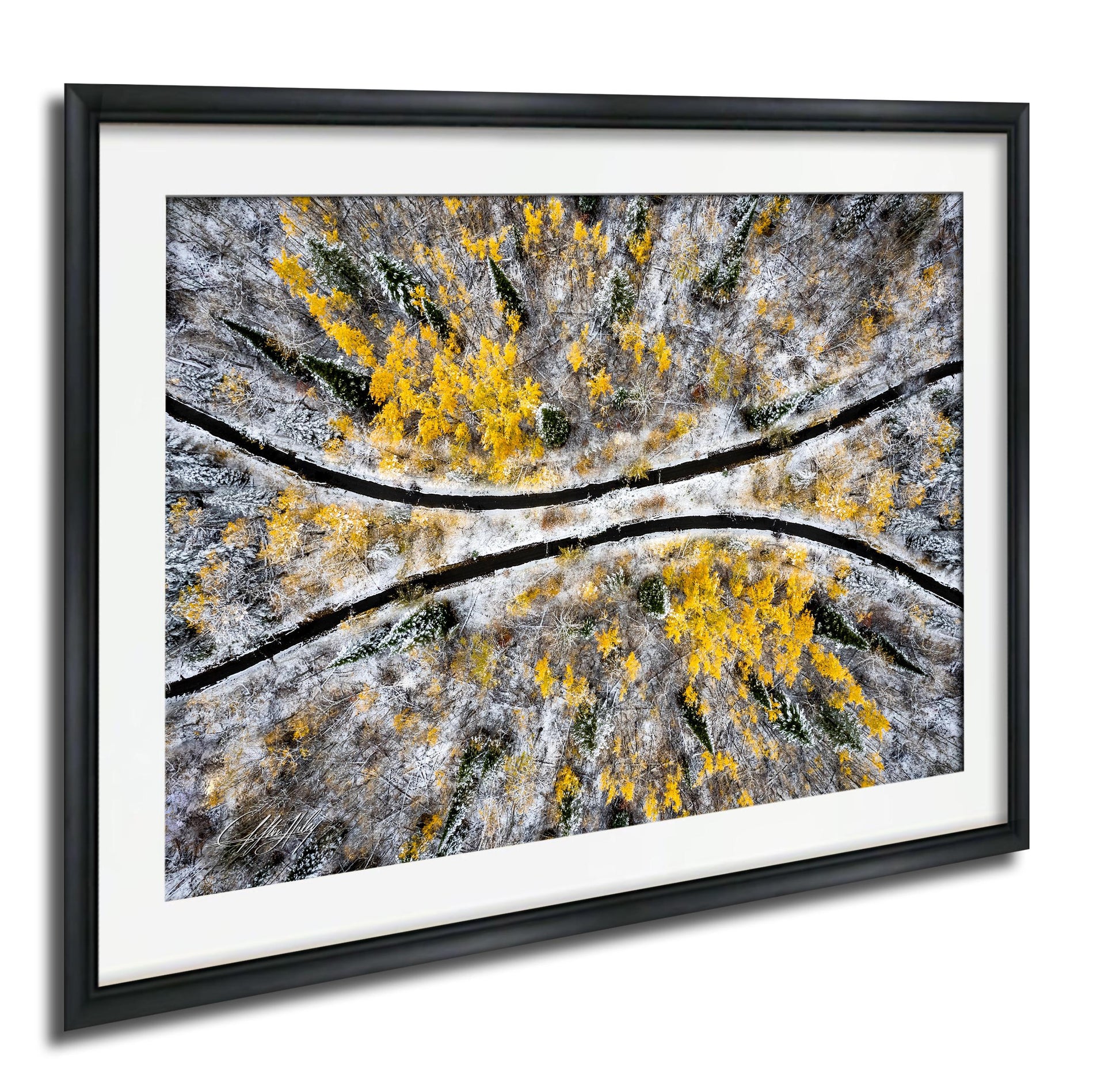 The image is a framed aerial view of a snowy forest with yellow and green foliage.