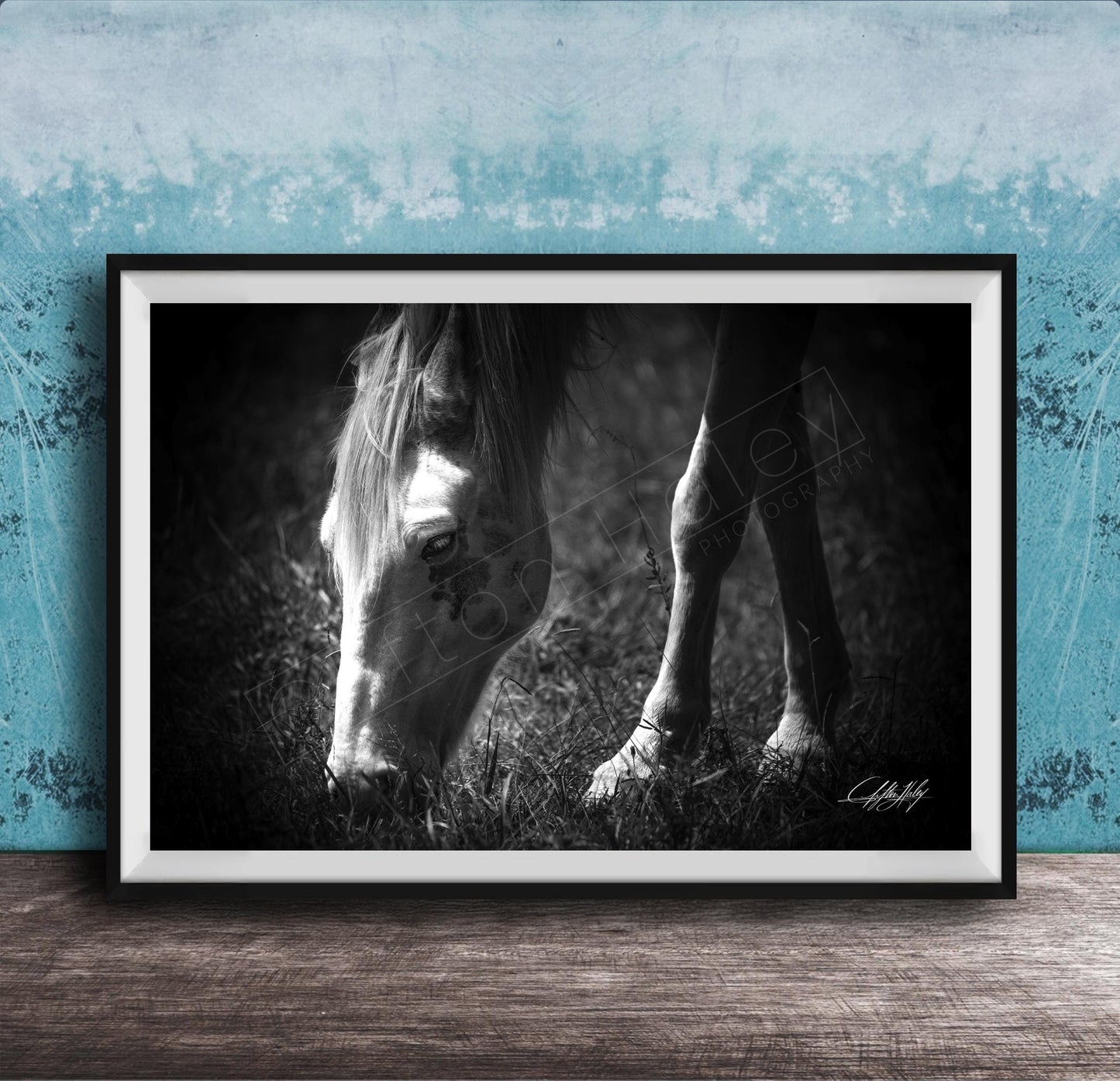 A black and white photograph of a horse grazing in a grassy field, with a blue textured background.