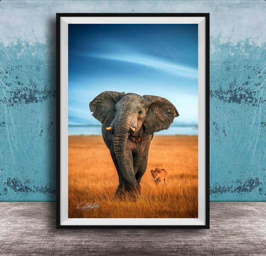 A majestic elephant stands in a golden field, its large ears flapping gently in the breeze, with a lion standing nearby.