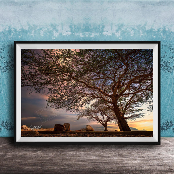 A framed photograph depicting a serene landscape with a large tree silhouetted against a colorful sunset sky, with rocks and a calm body of water in the foreground.