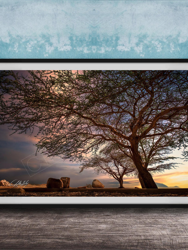 A framed photograph depicting a serene landscape with a large tree silhouetted against a colorful sunset sky, with rocks and a calm body of water in the foreground.