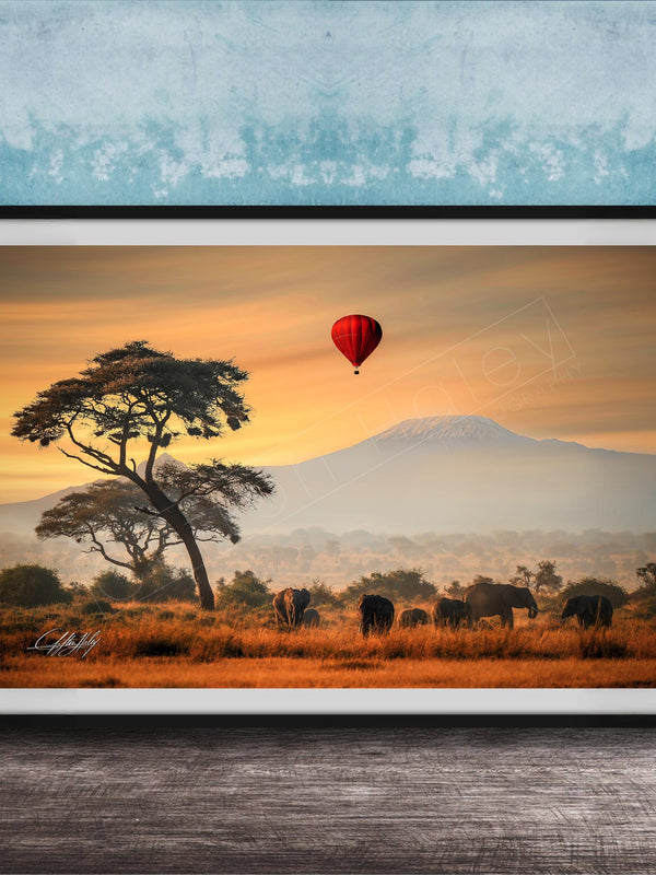 A framed photograph depicting a serene landscape with a lone tree, a herd of elephants, and a red hot air balloon floating in the sky, all set against a backdrop of a majestic mountain range.