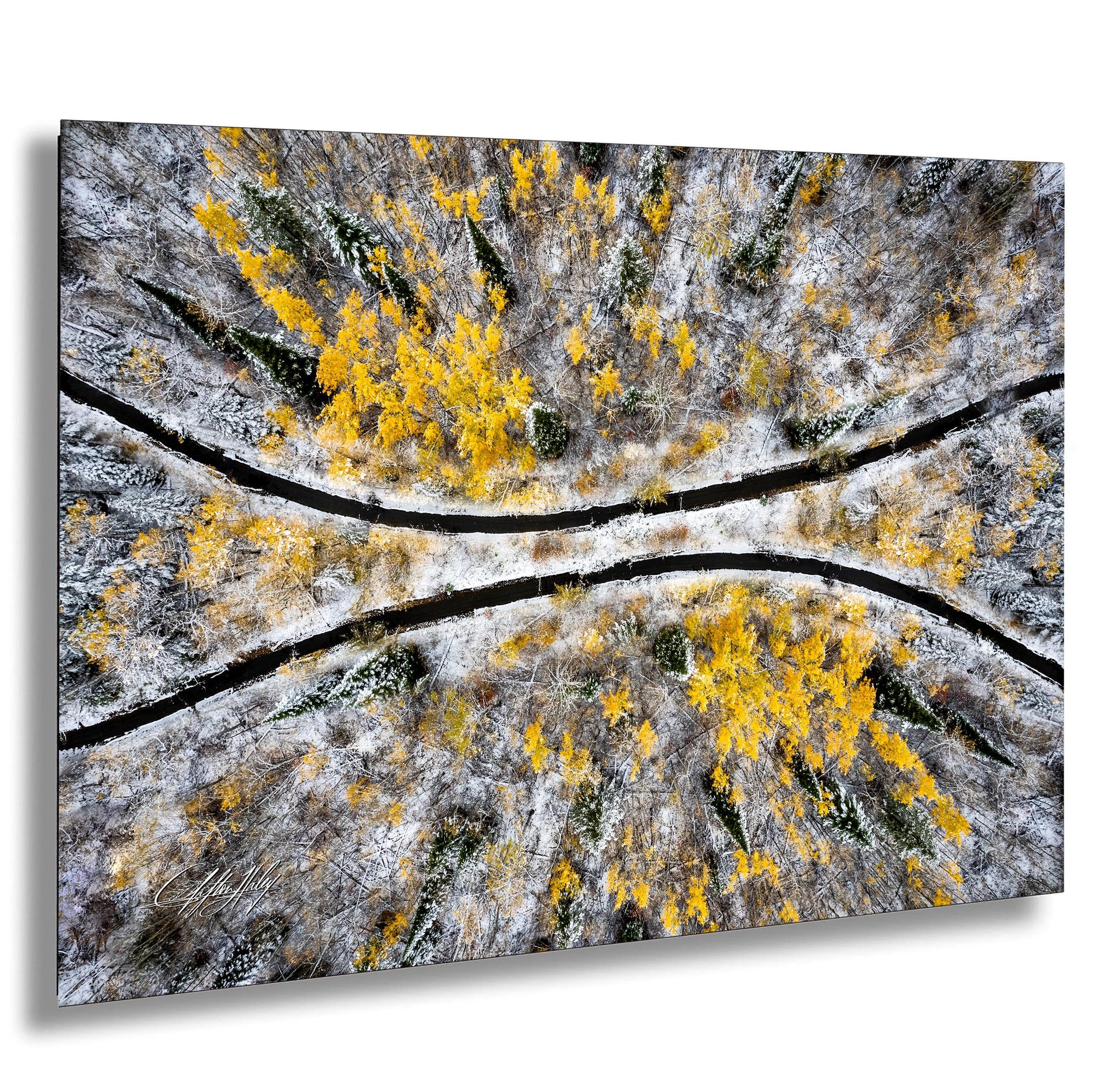 The image is an aerial view of a snowy forest with yellow trees, showcasing the contrast between the white snow and the vibrant yellow foliage.