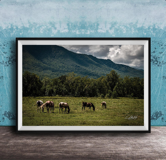 A framed photograph depicting a group of horses grazing in a grassy field with mountains in the background.