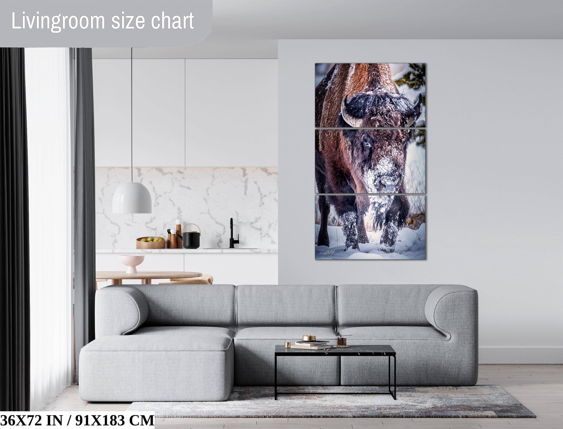 The image is a living room with a gray sofa, a coffee table, and a large wall art depicting a bison in a snowy landscape.