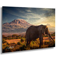 A majestic elephant stands in a grassy field, with a large mountain range in the background under a dramatic sky.