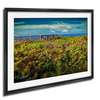 A framed photograph depicting a field of colorful flowers with a wooden fence in the background, set against a blue sky with clouds.