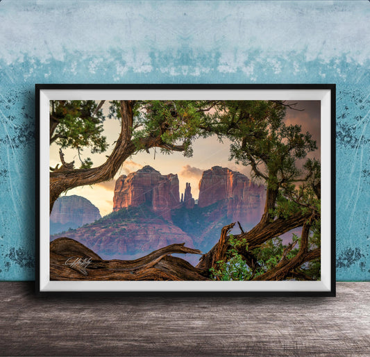a scenic view of a mountain range with a large rock formation in the center, surrounded by lush greenery and a tree branch framing the scene.