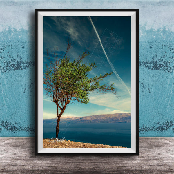 A lone tree stands on a rocky shore, overlooking a vast body of water under a clear blue sky.
