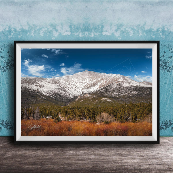 A framed photograph of a snow-capped mountain range with a forested valley in the foreground, set against a blue sky with wispy clouds.