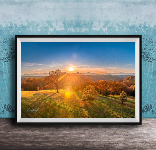 The image is a framed photograph depicting a scenic landscape with a sunset over a field of trees.