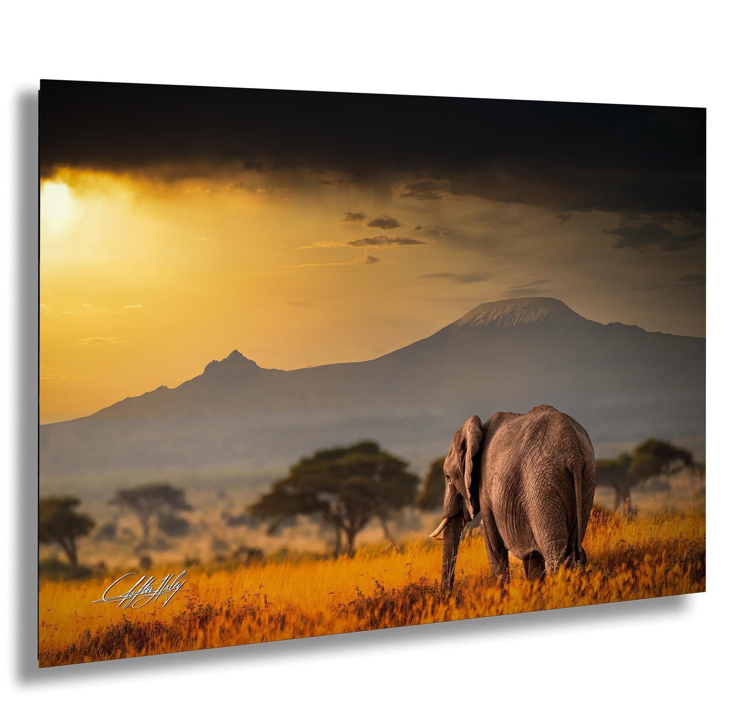 Amboseli sunrise, elephant photography, Mount Kilimanjaro, wildlife safari, Maasai culture, African wilderness, nature photography, big tusker, Kenya travel