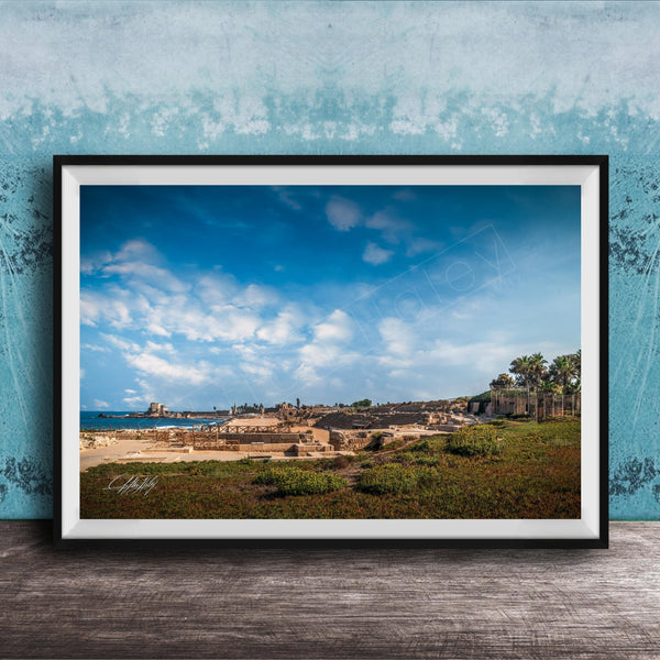 The image is a framed photograph of a beach with palm trees and a castle in the distance, set against a blue sky with white clouds.