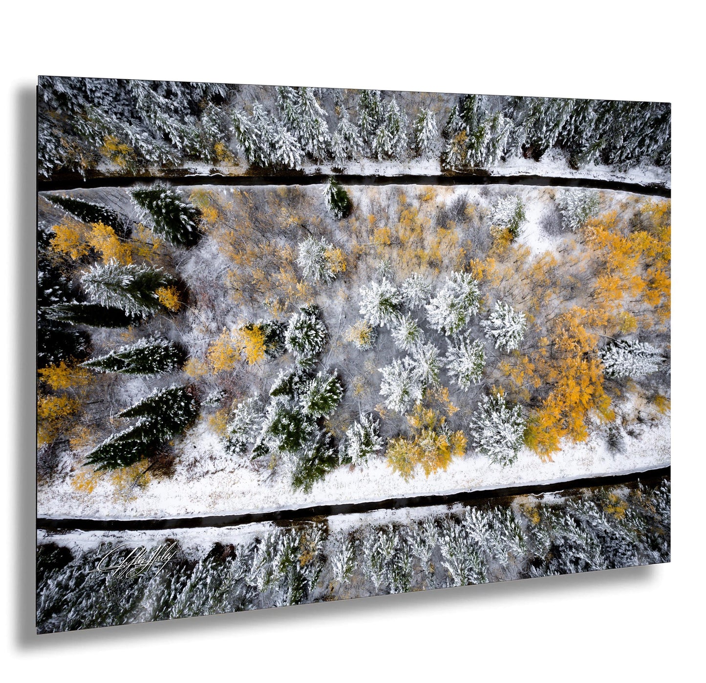 An aerial view of a snowy forest landscape with a winding path cutting through the trees.