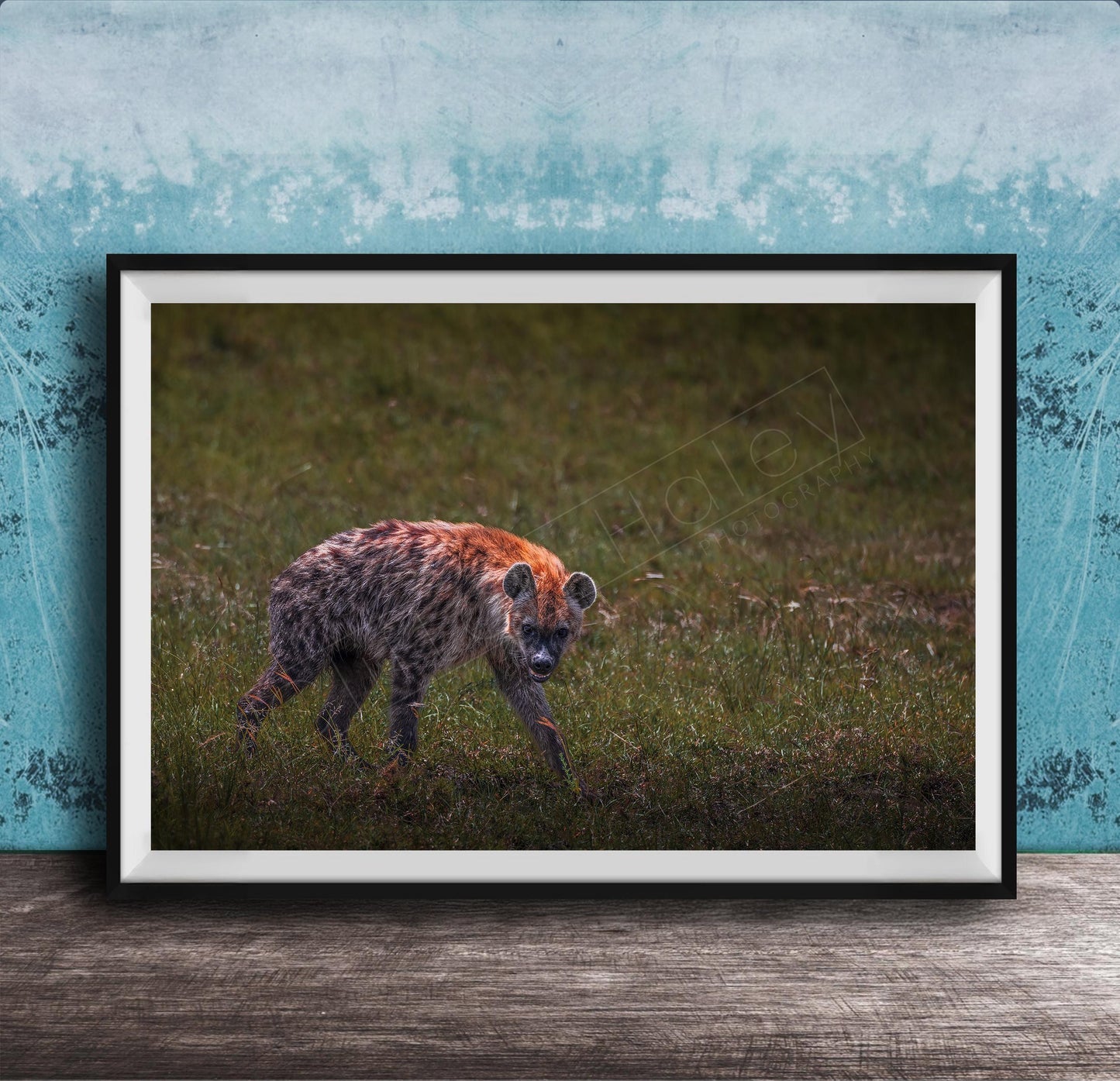 This fine art wildlife photograph captures a striking moment in the Maasai Mara, where a lone hyena pauses mid-step and meets the viewer with a powerful, unforgettable gaze. Often misunderstood, the hyena represents intelligence, resilience, and survival within the African safari ecosystem. This piece is perfect for collectors who appreciate raw, authentic wildlife moments and want to bring depth, character, and conversation into their home or office décor.