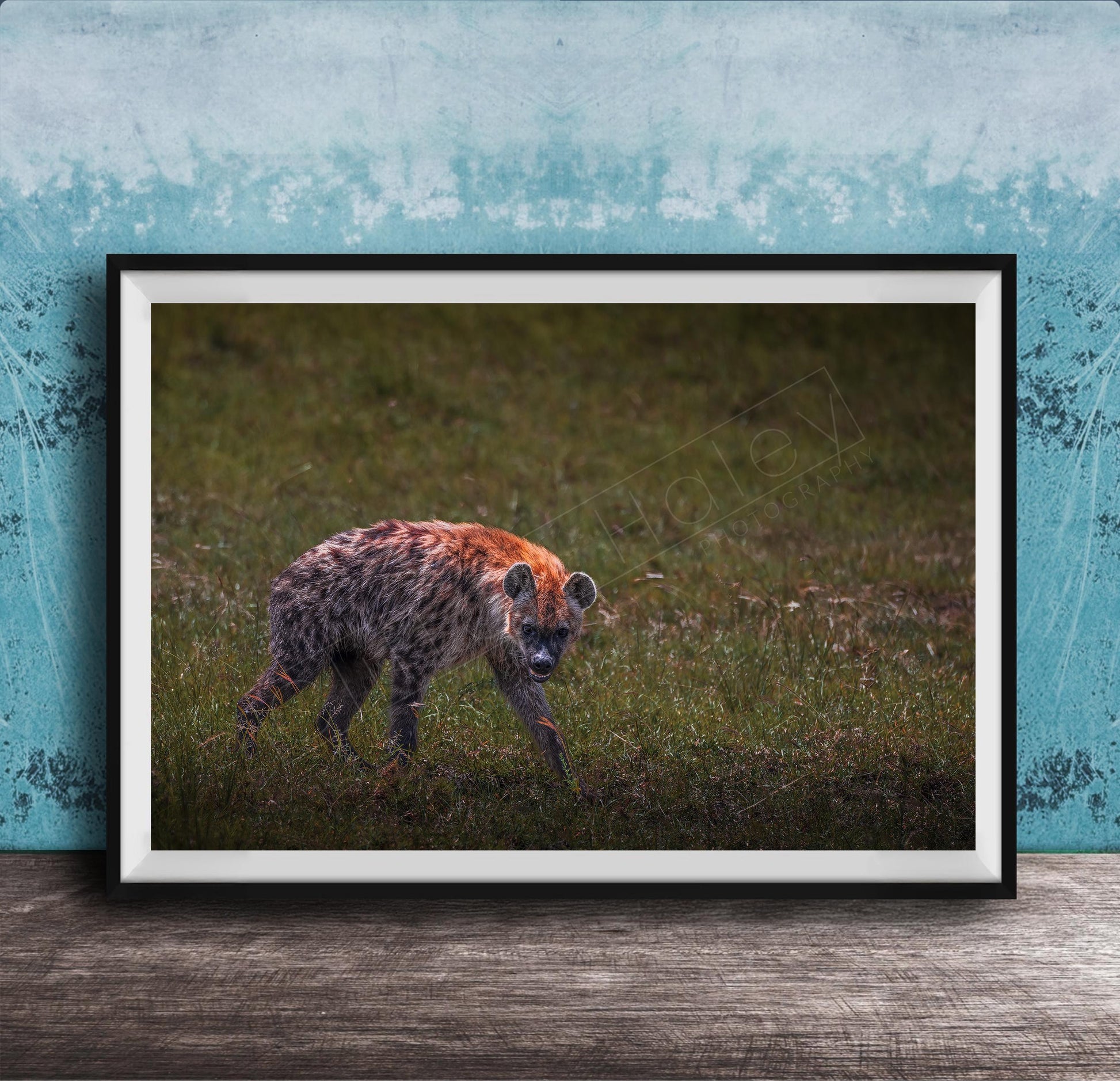 This fine art wildlife photograph captures a striking moment in the Maasai Mara, where a lone hyena pauses mid-step and meets the viewer with a powerful, unforgettable gaze. Often misunderstood, the hyena represents intelligence, resilience, and survival within the African safari ecosystem. This piece is perfect for collectors who appreciate raw, authentic wildlife moments and want to bring depth, character, and conversation into their home or office décor.