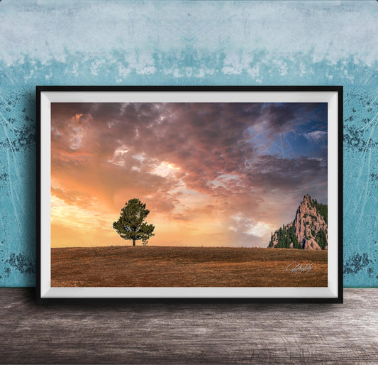 a serene landscape with a lone tree standing in a field, set against a dramatic sky filled with clouds and a mountain in the distance.