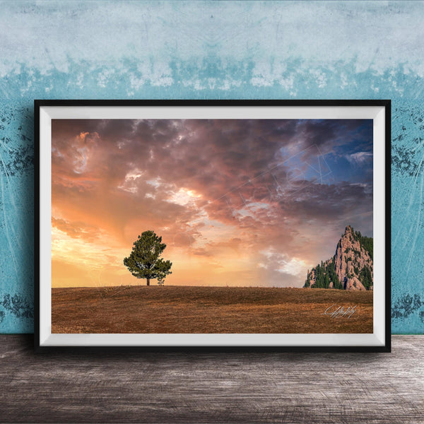 a serene landscape with a lone tree standing in a field, set against a dramatic sky filled with clouds and a mountain in the distance.