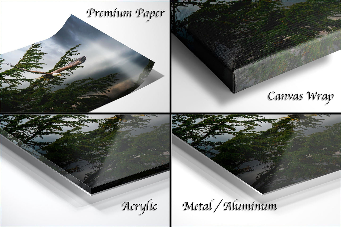 The image is a collage of four photos depicting different types of paper used for printing, including premium paper, canvas wrap, acrylic, and metal/aluminum.