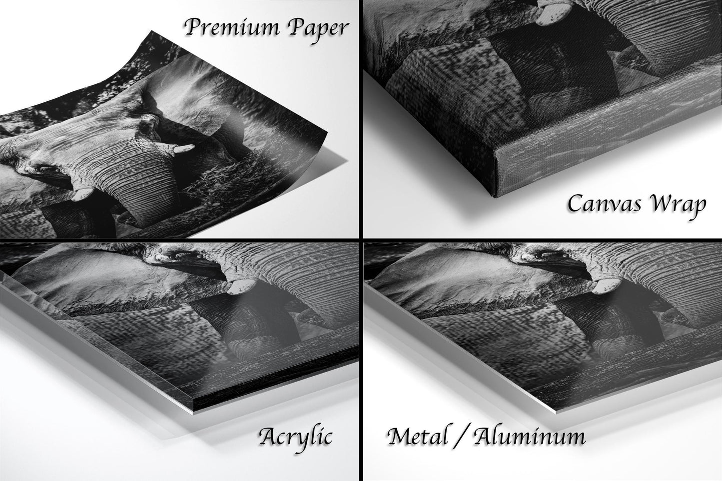 The image is a collage of four different photographs of an elephant, each with a different label indicating the type of material used to print the image.