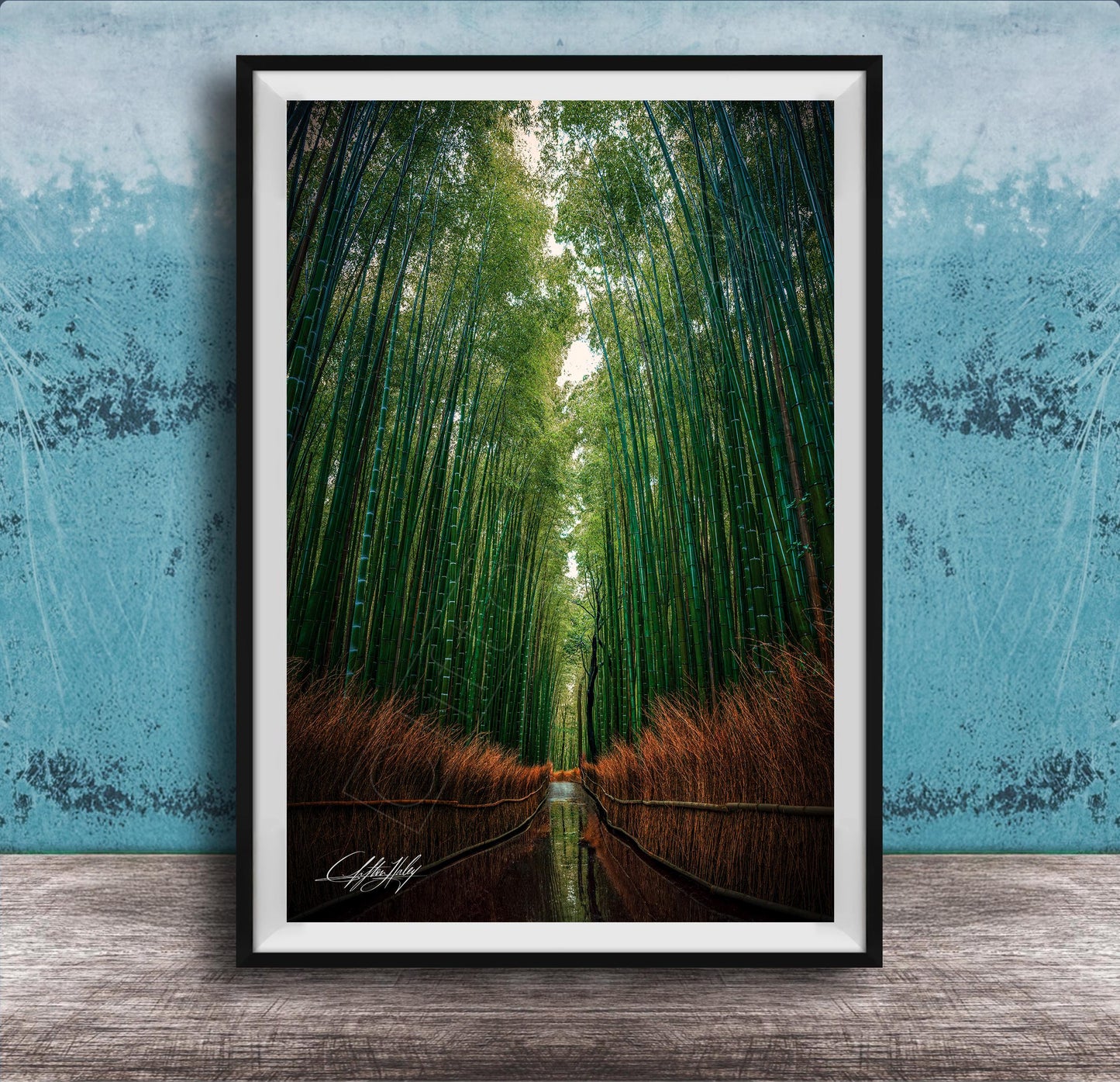 A framed photograph of a serene bamboo forest, with tall green bamboo stalks stretching out into the distance and a small stream running through the center of the frame.