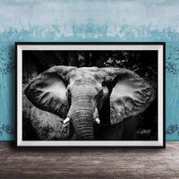 A black and white photograph of an elephant's head and ears, displayed in a framed artwork on a wooden surface against a blue textured background.