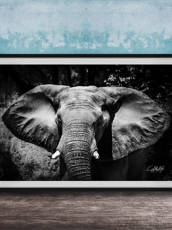 A black and white photograph of an elephant's head and ears, displayed in a framed artwork on a wooden surface against a blue textured background.