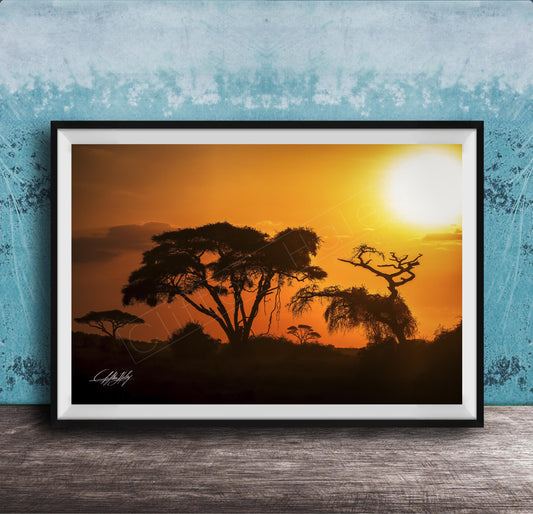 A framed photograph depicting a serene sunset over a landscape with silhouetted trees against a vibrant orange sky.