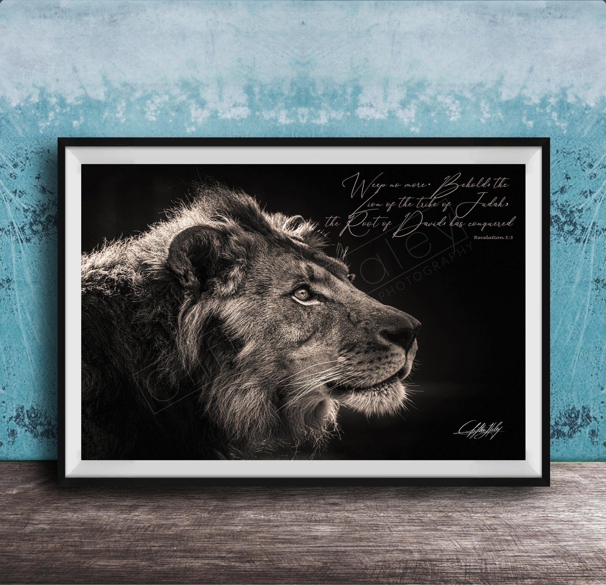 A framed black and white photograph of a lion's head, with a text overlay that reads "Weep no more. Behold the Lord of the tables of Jacob. The rich of David has overcome."