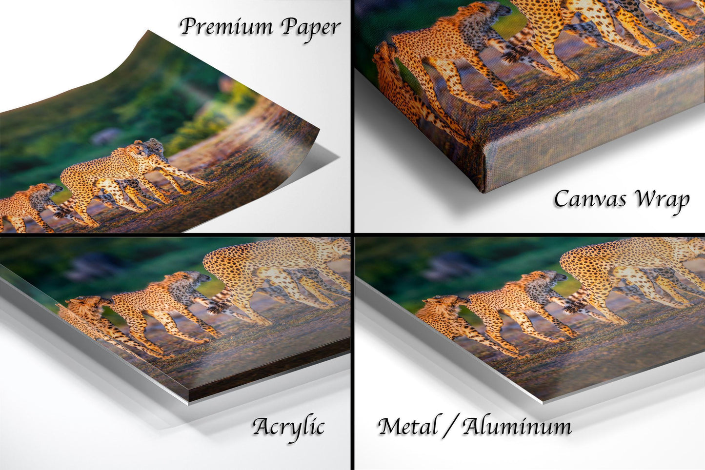 Cheetah Art Print - African Safari Wildlife Wall Decor | Maasai Mara Maximalist Animal Print