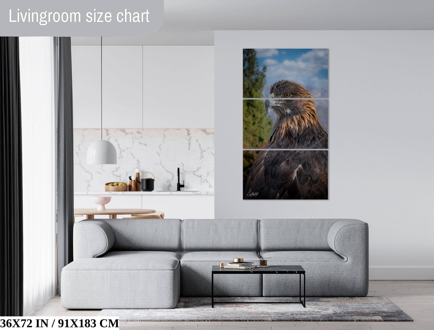 Red-Tail Hawk Photo - Soaring Hawk Print | Wildlife Wall Decor Art