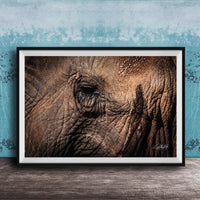A framed photograph of an elephant's eye is displayed on a wooden surface against a blue textured wall.