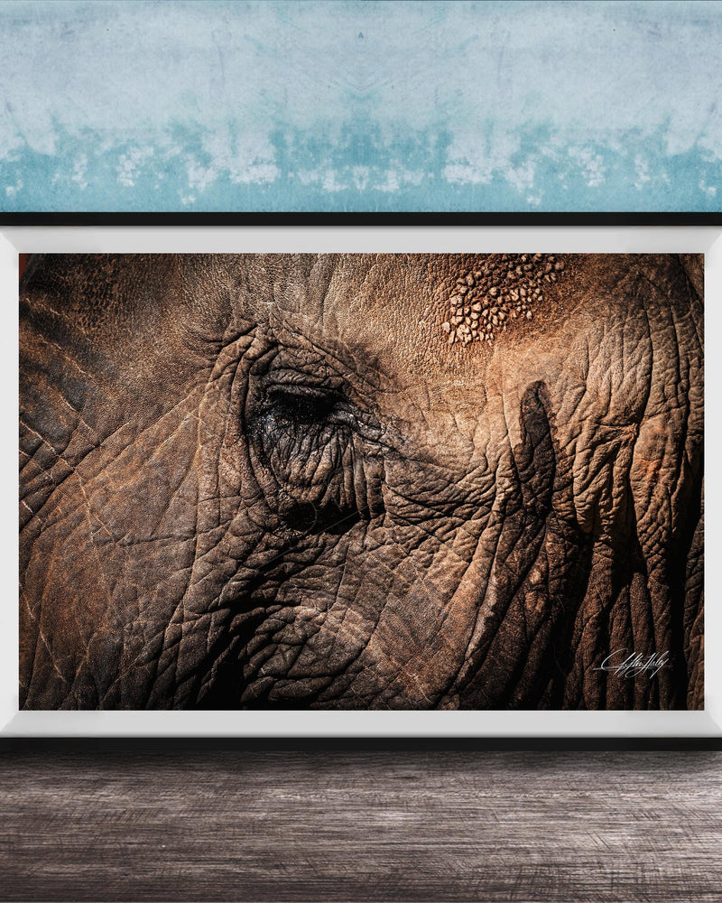 A framed photograph of an elephant's eye is displayed on a wooden surface against a blue textured wall.
