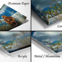 The image is a collage of four different views of a bird perched on a branch against a cloudy sky background. The collage includes three different types of materials: premium paper, canvas wrap, and acrylic.