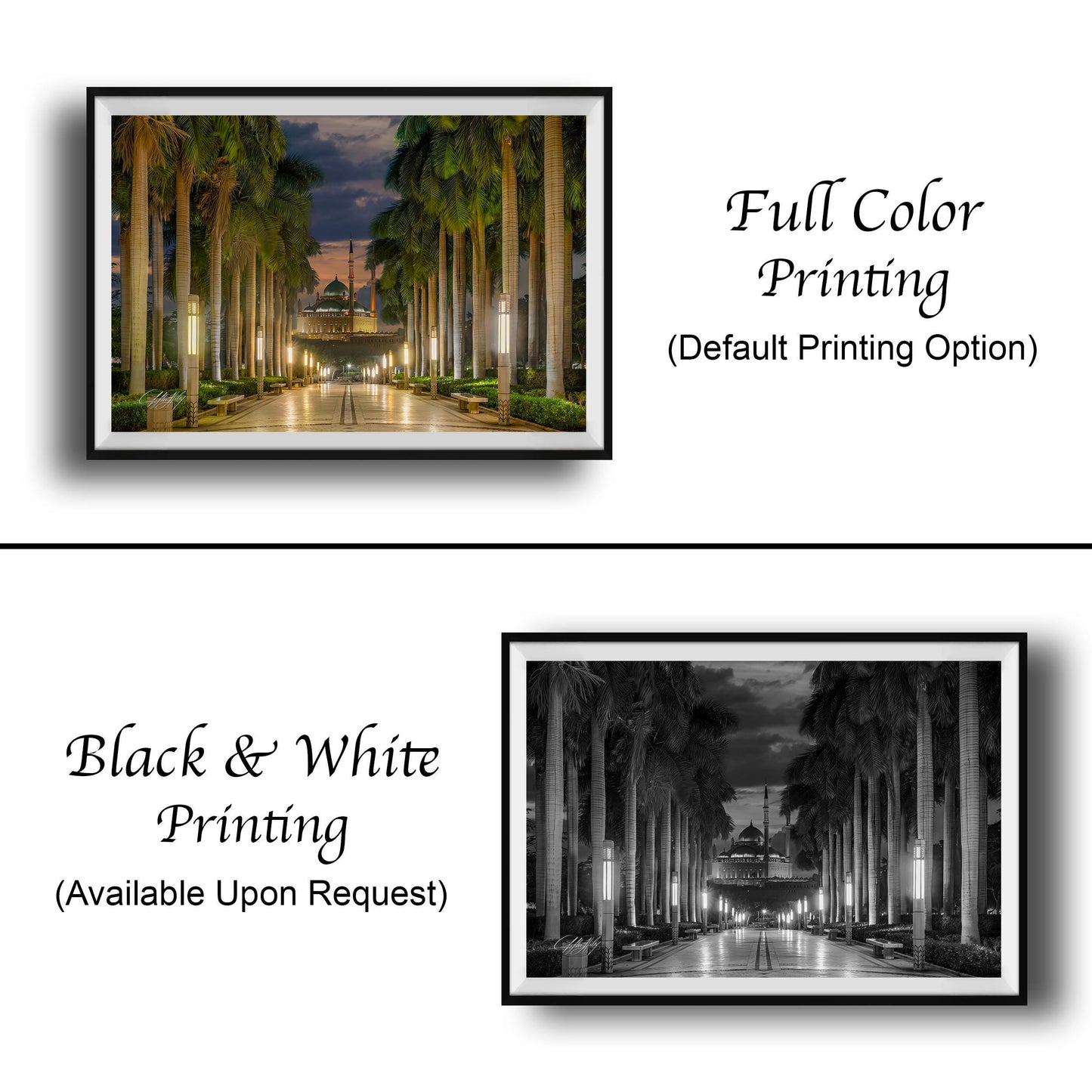 Muhammad Ali Mosque | Citadel of Cairo Fine Art Photography - Architectural Symmetry Print